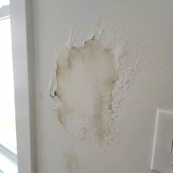 Expert Drywall Water Damage Repair in Palm Beach Gardens, FL