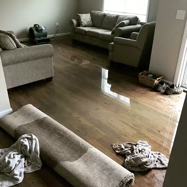 Flood Restoration in Palm Beach Gardens, FL