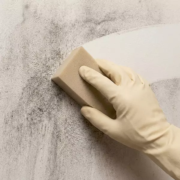 Smoke Cleaning in Palm Beach Gardens, FL 