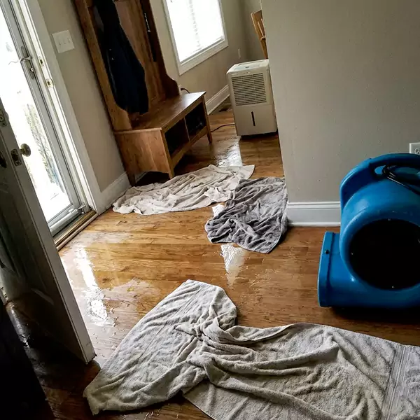 Water Mitigation in Palm Beach Gardens, FL