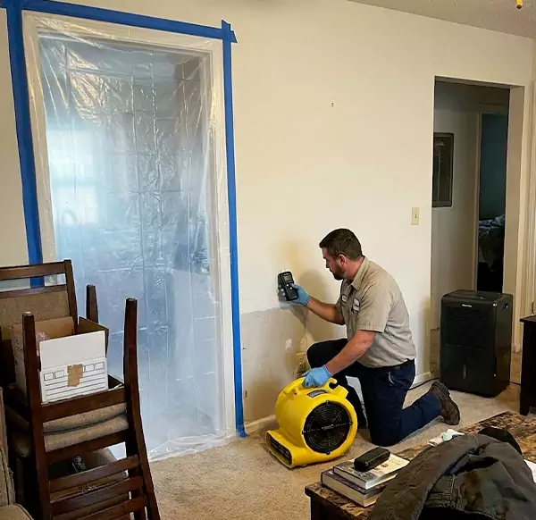 Why Homeowners & Businesses Choose Palm Beach Gardens Water Fix for Water Remediation in Palm Beach Gardens, FL?