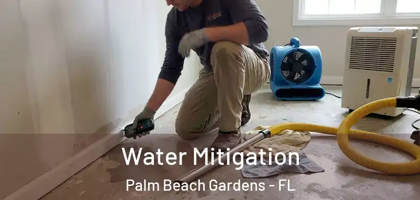  Water Mitigation Palm Beach Gardens - FL